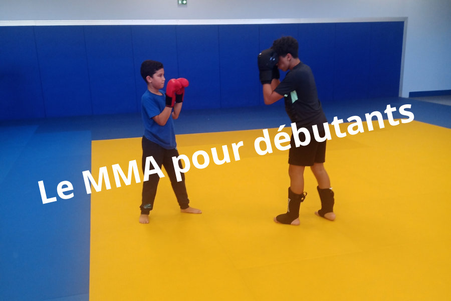 Le Mma Pour Débutants